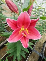 [5672 VZ W09 0741-01 No02.JPG]